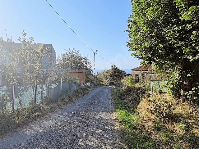 GİRESUN GÖRELE KARABURUNDA EV VE FINDIK BAHÇESİ - Görsel 16