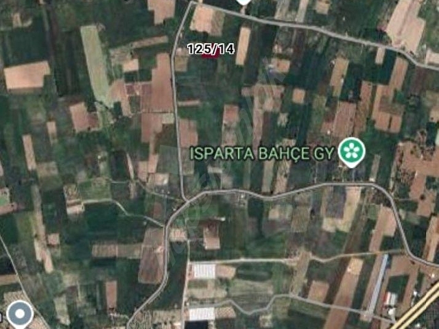 ISPARTA MERKEZ BÜYÜKGÖKÇELİDE SATILIK TARLA