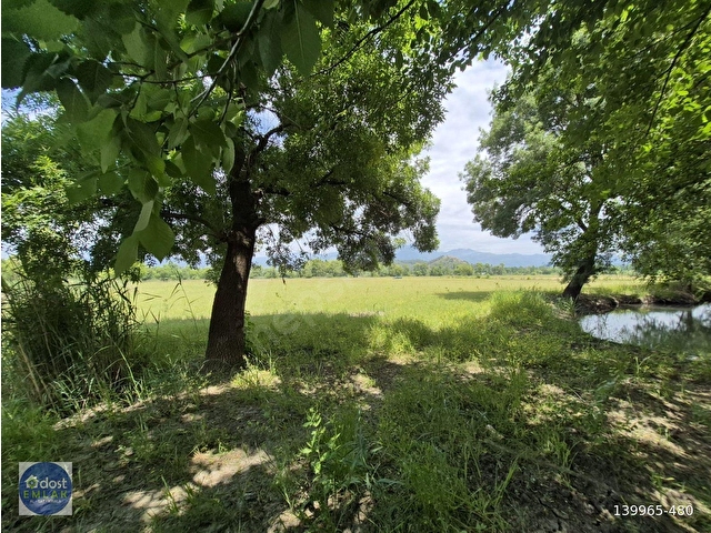 Köyceğizde Göl Manzaralı, 10.842 m² Nar Bahçesi - Görsel 6