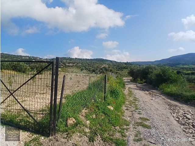 ÇEVRELİ KÖYÜNDE 10 DÖNÜM FUUL BAKIMLI MUHTEŞEM BAHÇEMİZ SATILIKTIR - Görsel 23