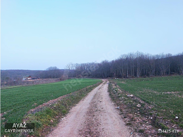 KIRKLARELİ ÇUKURPNAR KÖYÜNDE DOĞAYLA İÇ İÇE 775M2 TARLA - Görsel 4