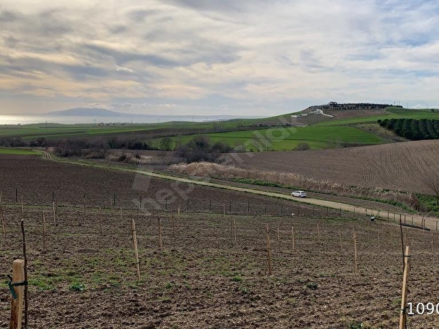 MARMARAEREĞLİSİ ÇEŞMELİ KÖYÜNDE EV YAPIM RUHSATLI DENİZ MANZARALI SATILIK 6.051m2 CEVİZ BAHÇESİ - Görsel 3