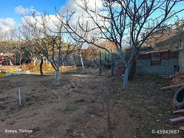 Villa Arası - Bahçe - Görsel 11