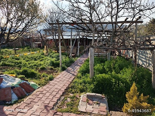 Villa Arası - Bahçe - Görsel 18