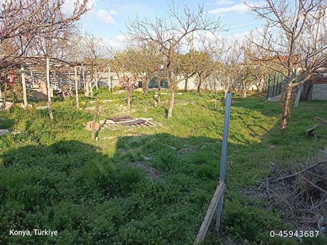 Villa Arası - Bahçe - Görsel 20