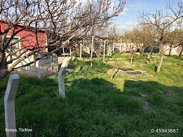 Villa Arası - Bahçe - Görsel 21