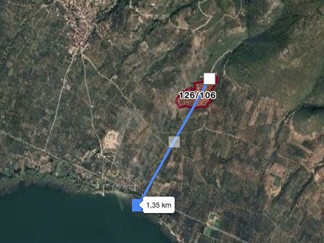 KERAMETTE SAHİBİNDEN KELEPİR ZEYTİNLİK - Görsel 4