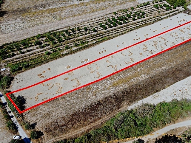 MUĞLA ULA ÇITLIK MH.ÇAYDERE MEVKİİDE 4076 M2 YOLA CEPHELİ TARLA - Görsel 3