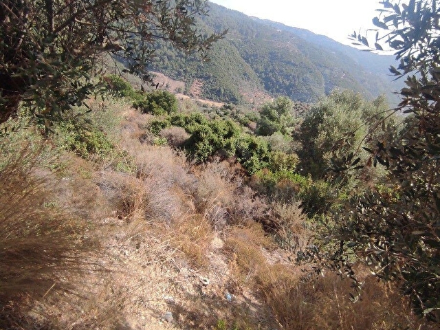 İZMİR GÜZELBAHÇE KÜÇÜKKAYA KÖYÜ 11077 M2 deniz manzaralı yatırıma uygun TARLA - Görsel 3