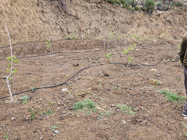 TARSUS FİYATI DÜŞÜRDÜK BOZTEPE YAYLASINDA SATILIK 4 DÖNÜM ARSA