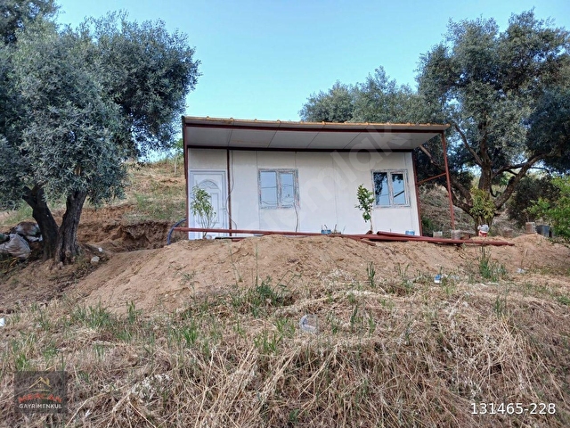 Efeler İlyasdere mevki zeytin incir bahçesi tek tapu