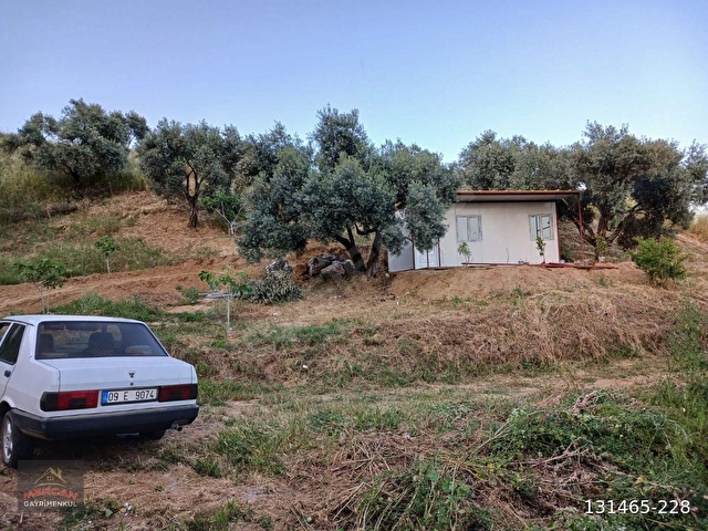 Efeler İlyasdere mevki zeytin incir bahçesi tek tapu - Görsel 2
