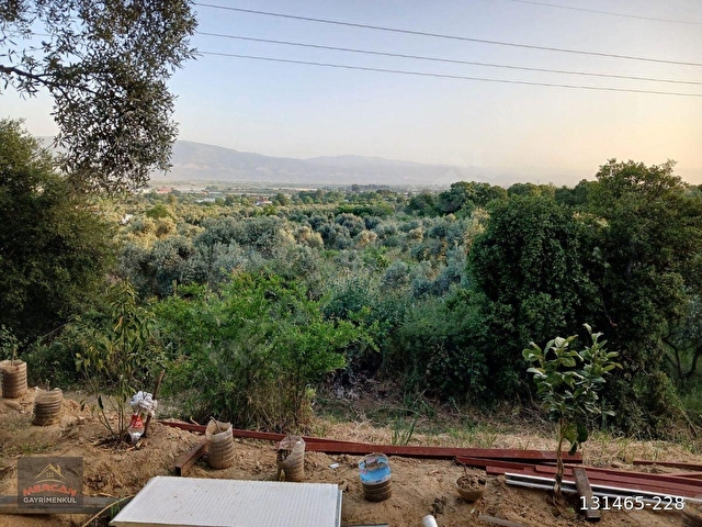 Efeler İlyasdere mevki zeytin incir bahçesi tek tapu - Görsel 12