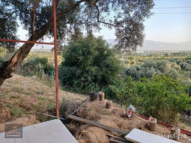 Efeler İlyasdere mevki zeytin incir bahçesi tek tapu - Görsel 17