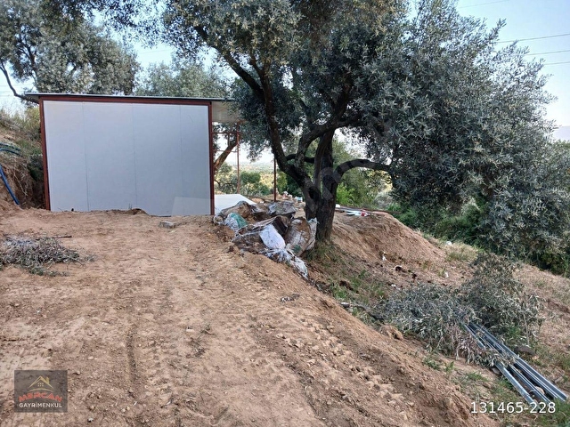 Efeler İlyasdere mevki zeytin incir bahçesi tek tapu - Görsel 28