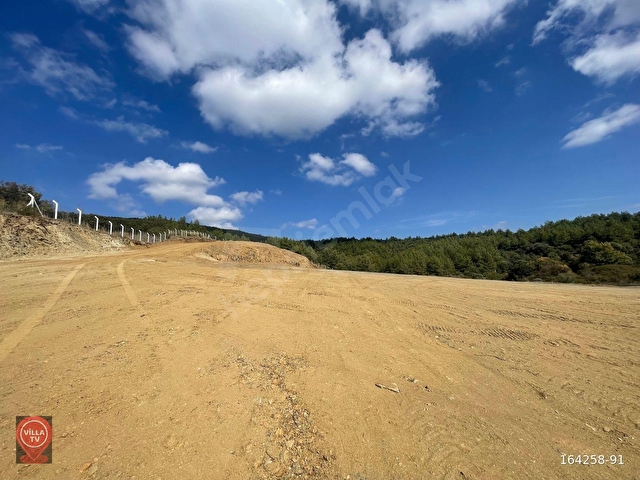 Kuşadası Yeniköyde Satılık 14.600 m2 Tarla