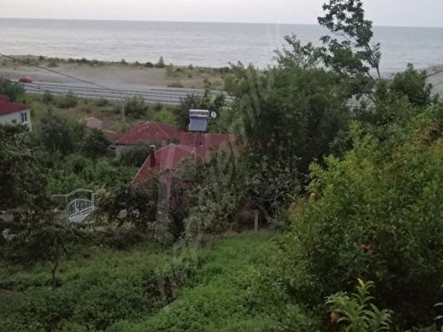 Sinop Gerze Yenikent Töngel Sokağı satılık tarla acil 1500metre - Görsel 17