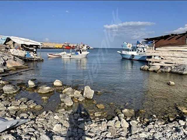 Sinop Gerze Yenikent Töngel Sokağı satılık tarla acil 1500metre - Görsel 7