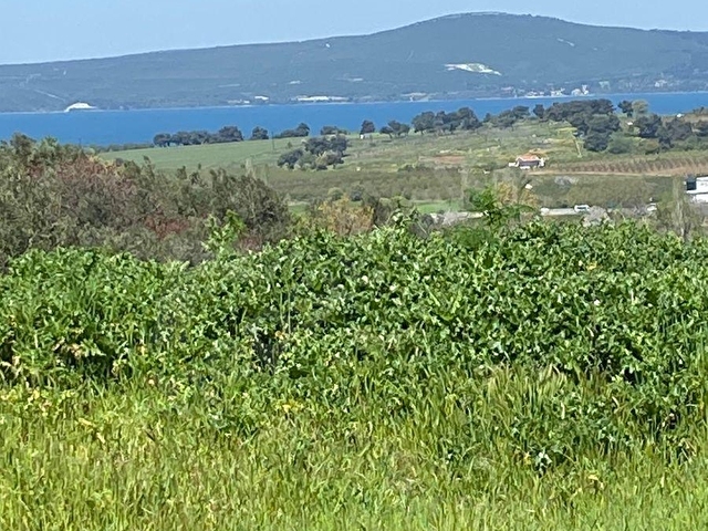ÇANAKKALE YAPILDAK KÖYÜNDE 303,69 M2 SATILIK ARSA - Görsel 15