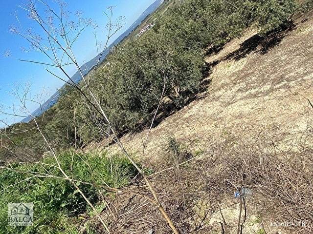 ÇANAKKALE YAPILDAK KÖYÜNDE 303,69 M2 SATILIK ARSA - Görsel 23