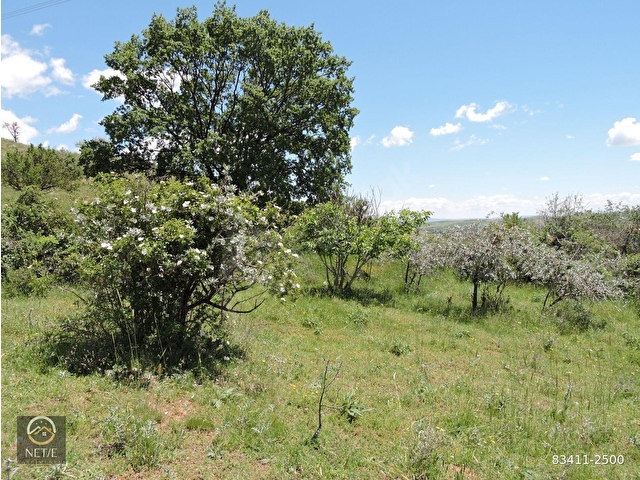 NET E GAYRİMENKULDEN SİRKELİDE 900 M2 SATILIK HİSSELİ TARLA - Görsel 15