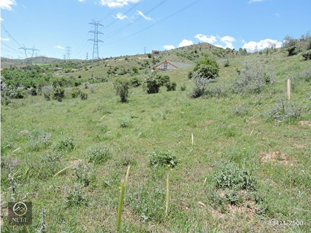 NET E GAYRİMENKULDEN SİRKELİDE 900 M2 SATILIK HİSSELİ TARLA - Görsel 5