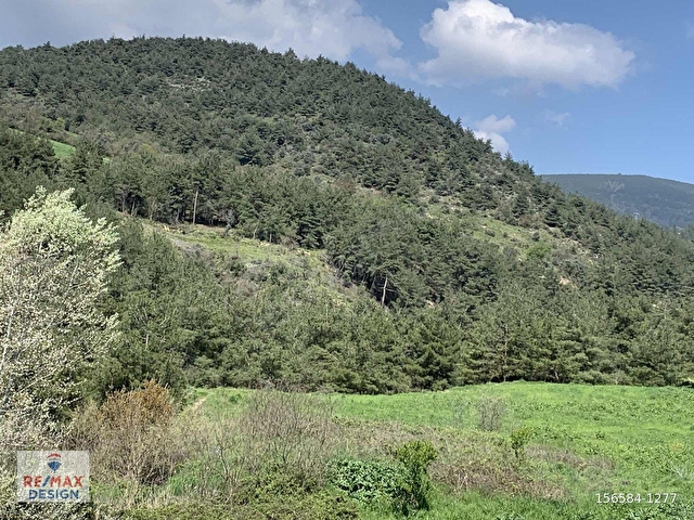 REMAX DESİGN PAMUKOVA TEŞVİKİYE MAHALLESİ 2130 M2 SATILIK TARLA - Görsel 8