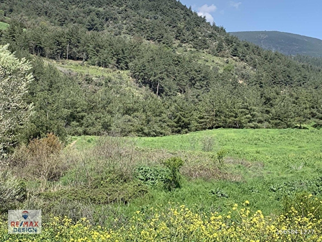 REMAX DESİGN PAMUKOVA TEŞVİKİYE MAHALLESİ 2130 M2 SATILIK TARLA - Görsel 9