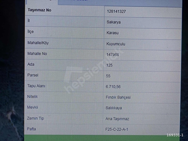 SAKARYA KARASUDA %5 İMARLI KELEPİR FINDIK BAHÇESİ - Görsel 6