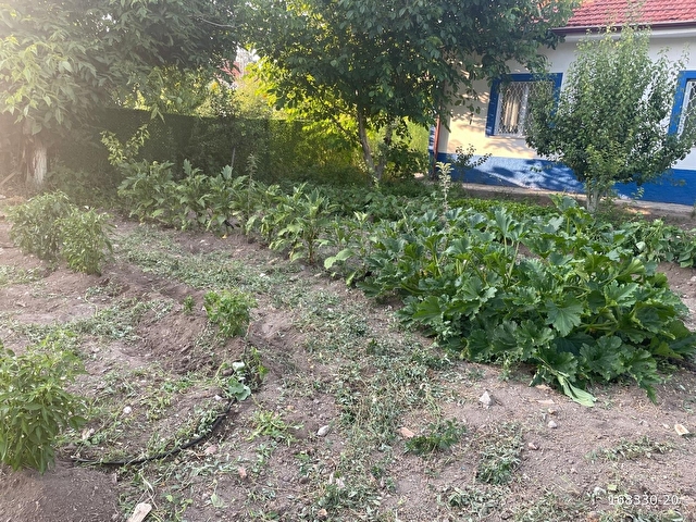 Halkapınar merkezde satılık müstakil ev - Görsel 14