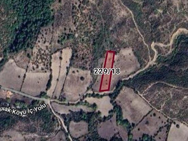 ÇANAKKALE AYVACIK MİSVAK KÖYÜNDE FIRSAT TARLA - Görsel 26