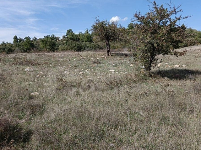ÇANAKKALE AYVACIK MİSVAK KÖYÜNDE FIRSAT TARLA - Görsel 15