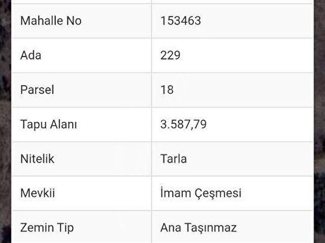 ÇANAKKALE AYVACIK MİSVAK KÖYÜNDE FIRSAT TARLA - Görsel 3