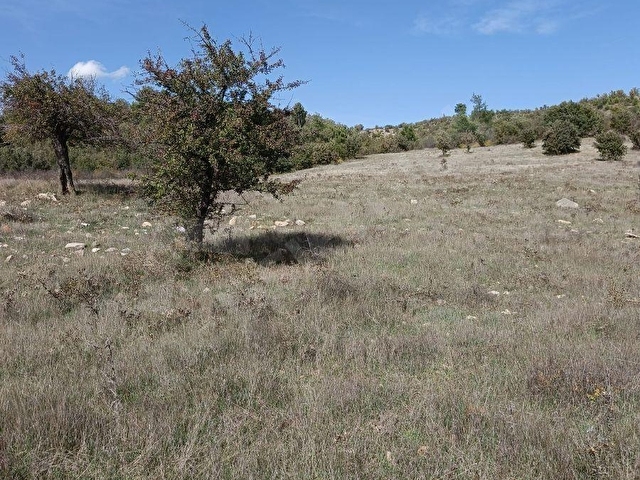 ÇANAKKALE AYVACIK MİSVAK KÖYÜNDE FIRSAT TARLA
