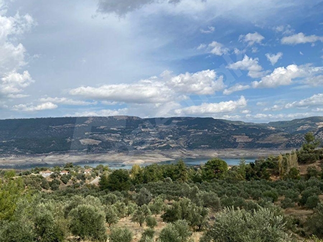 Bozdoğan Kemer Mahallesinde Satılık Zeytinli Tarla - Görsel 13