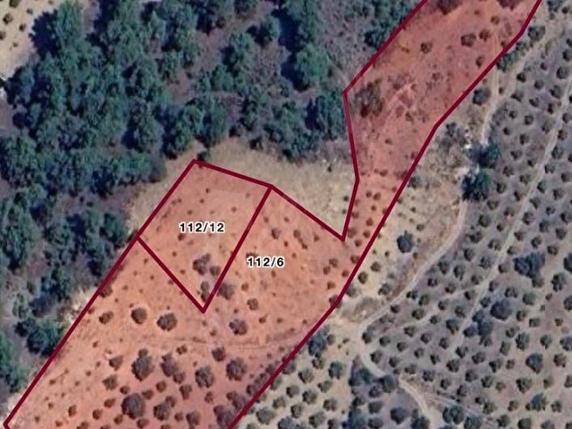 Bozdoğan Kemer Mahallesinde Satılık Zeytinli Tarla - Görsel 19