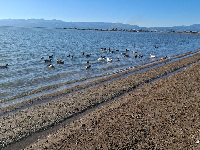 mersin silifke kurtuluş satılık deniz paradeniz göl sıfır arazi - Görsel 2