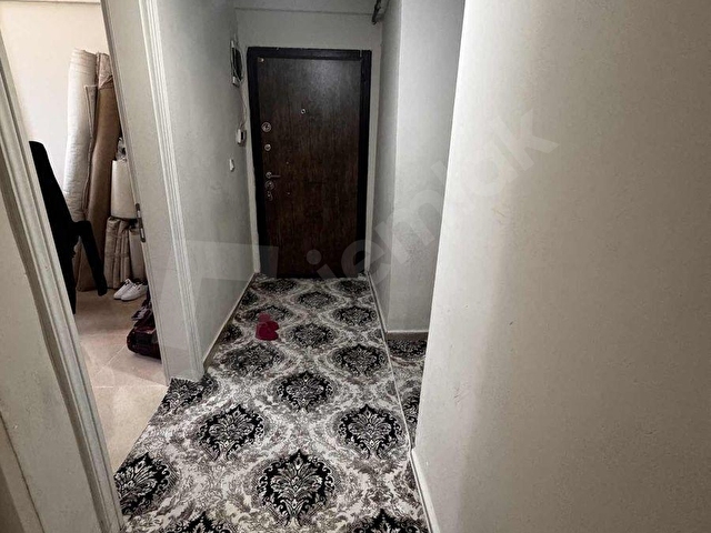 ZK VİA GAYRİMENKUL SATILIK DEFNE ÇEKMECE DAYMINT YANİ - Görsel 2