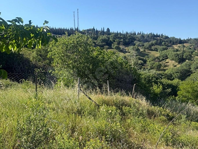 BABADAĞ GÜNDOĞDU MAHALLESİNDE 2 TAPU TEK FİYAT - Görsel 8