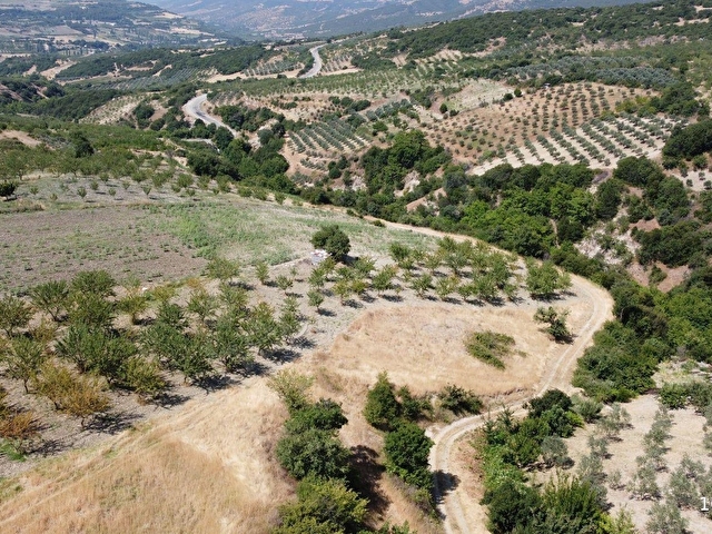 TEK TAPU, MEVCUT KADASTROLA BİTİŞİK NİZAM, FIRSAT ARAZİ - Görsel 10