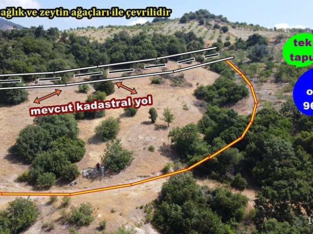 TEK TAPU, MEVCUT KADASTROLA BİTİŞİK NİZAM, FIRSAT ARAZİ