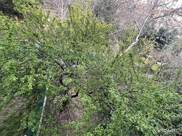 EMLAK TR İSTANBUL ATAKENT MAH. 5+2 280 M2 KİRALIK VİLLA - Görsel 27