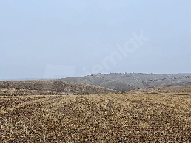 ALTUN EMLAK | GÜLŞEHİR BÖLÜKÖRENDE SATILIK 9.500 M2 TARLA - Görsel 9
