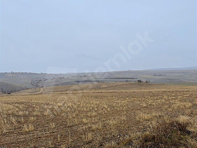 ALTUN EMLAK | GÜLŞEHİR BÖLÜKÖRENDE SATILIK 9.500 M2 TARLA - Görsel 7