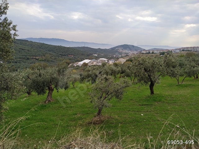 Erdek Atatürk Satılık