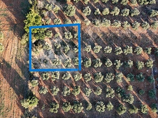 KOZAN Ağlıboğaz Mah. Zemin+İki Kata İmarlı SATILIK 447m²Arsa - Görsel 9