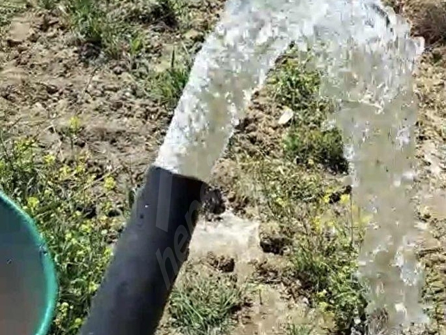 İZMİR KEMALPAŞA YEŞILKÖYDE SATILIK TEK TAPU BAHÇE.. - Görsel 16