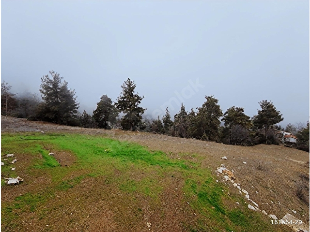 KONYAALTI DOYRAN YERLEŞİM İÇİ ANA YOL CEPHE TEK TAPU FIRSATARAZİ - Görsel 19
