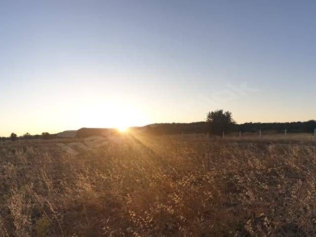 Assos Korubaşı Ovacık 7 Dönüm Tarla- Yola Cephe
