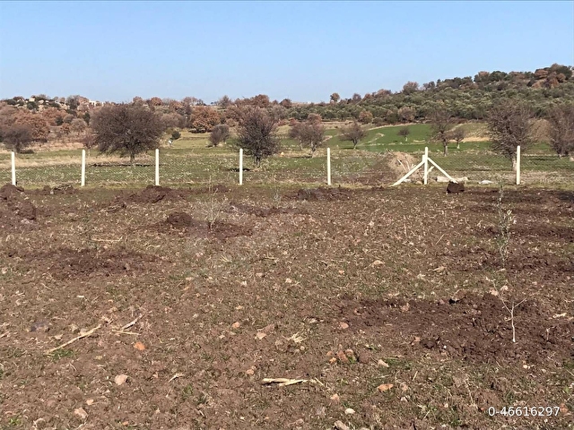 Assos Korubaşı Ovacık 7 Dönüm Tarla- Yola Cephe - Görsel 5